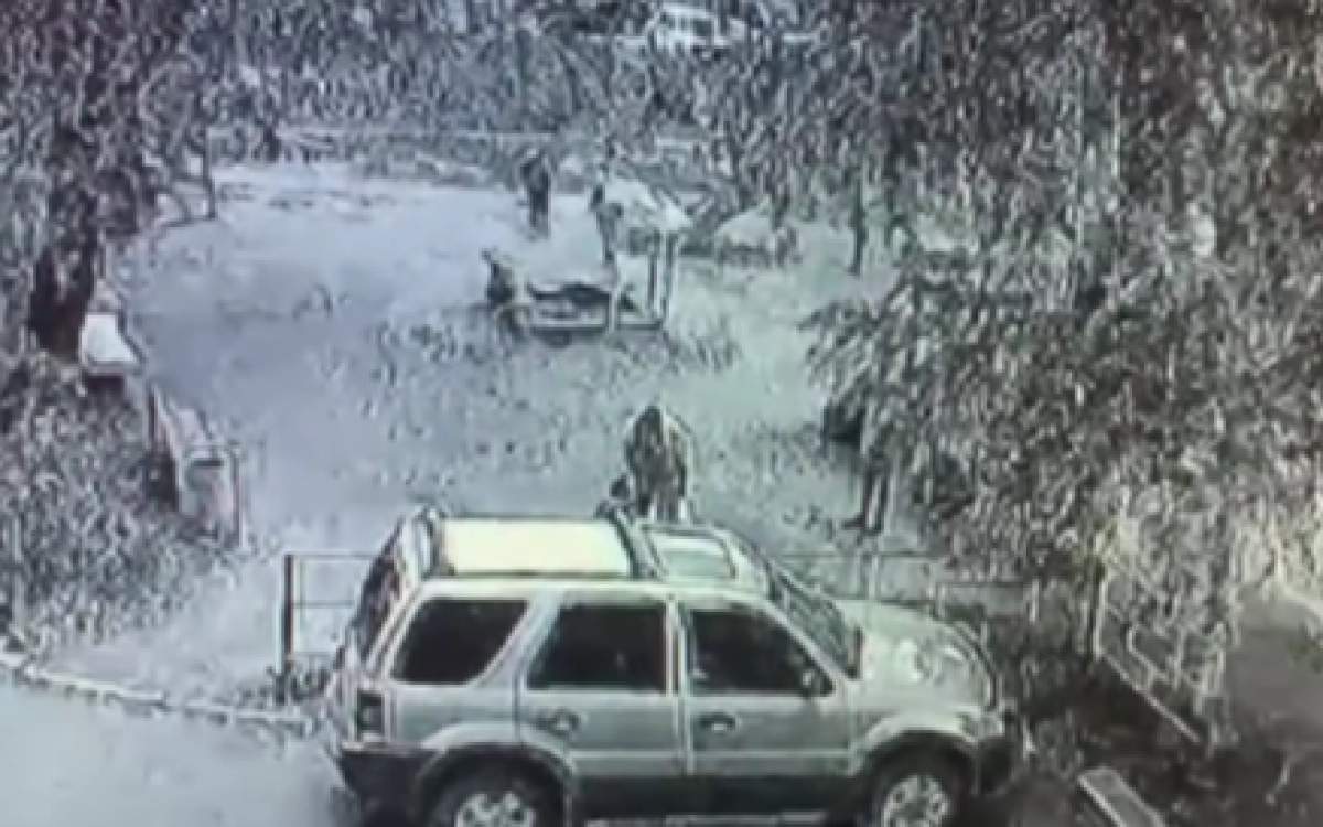 Фото: кадр из видео