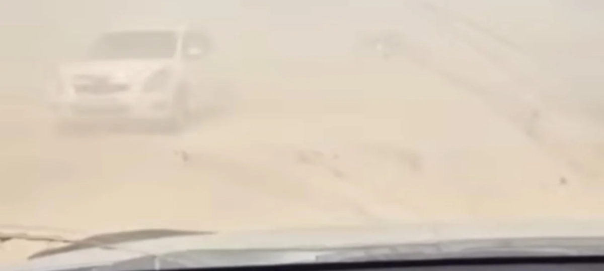 Фото: кадр из видео