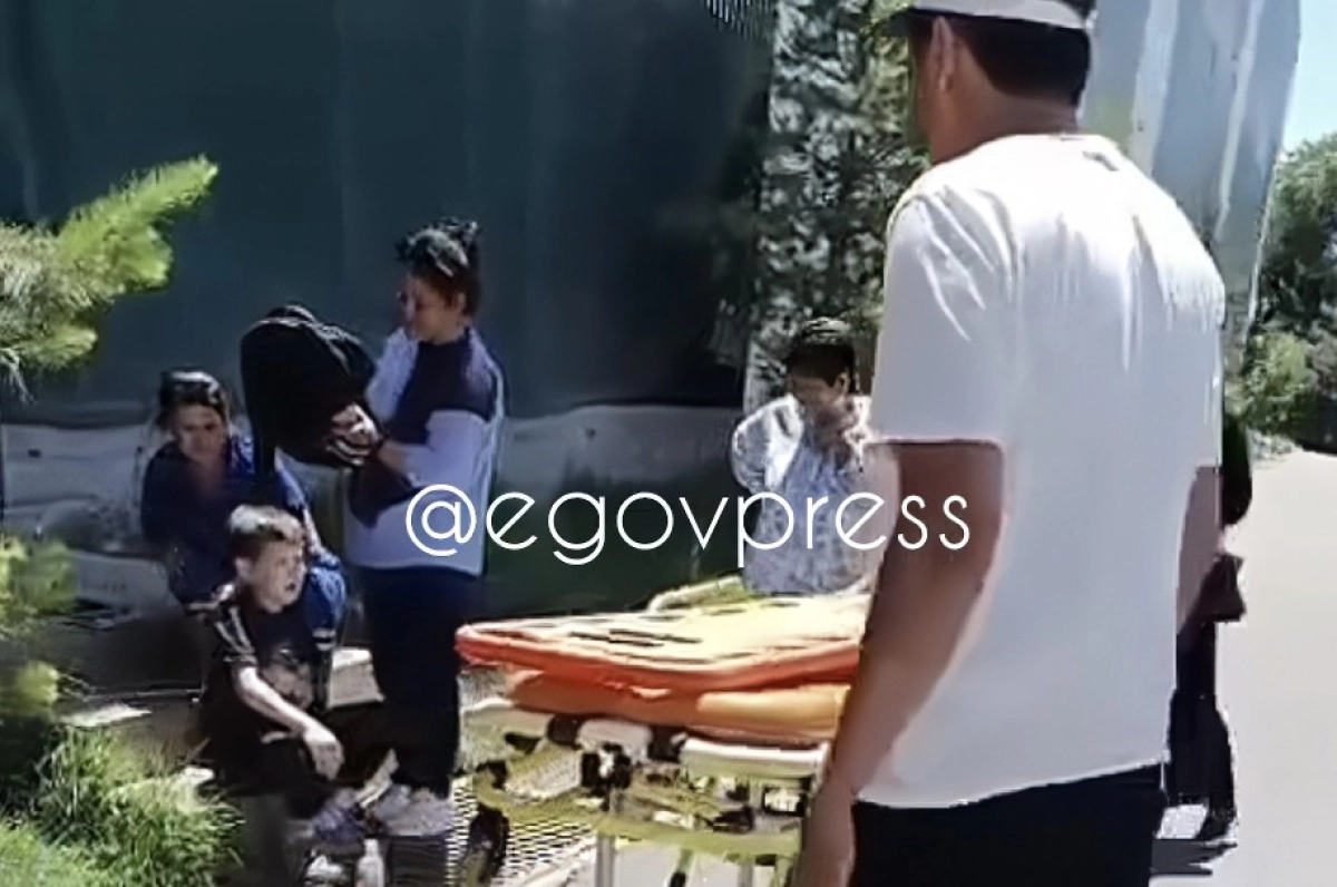 Фото: скриншот видео