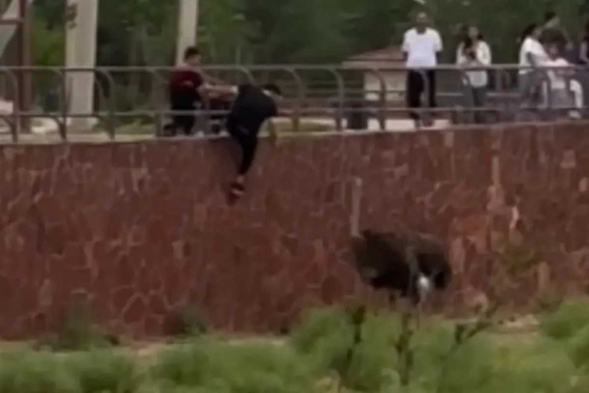 Фото: скриншот видео