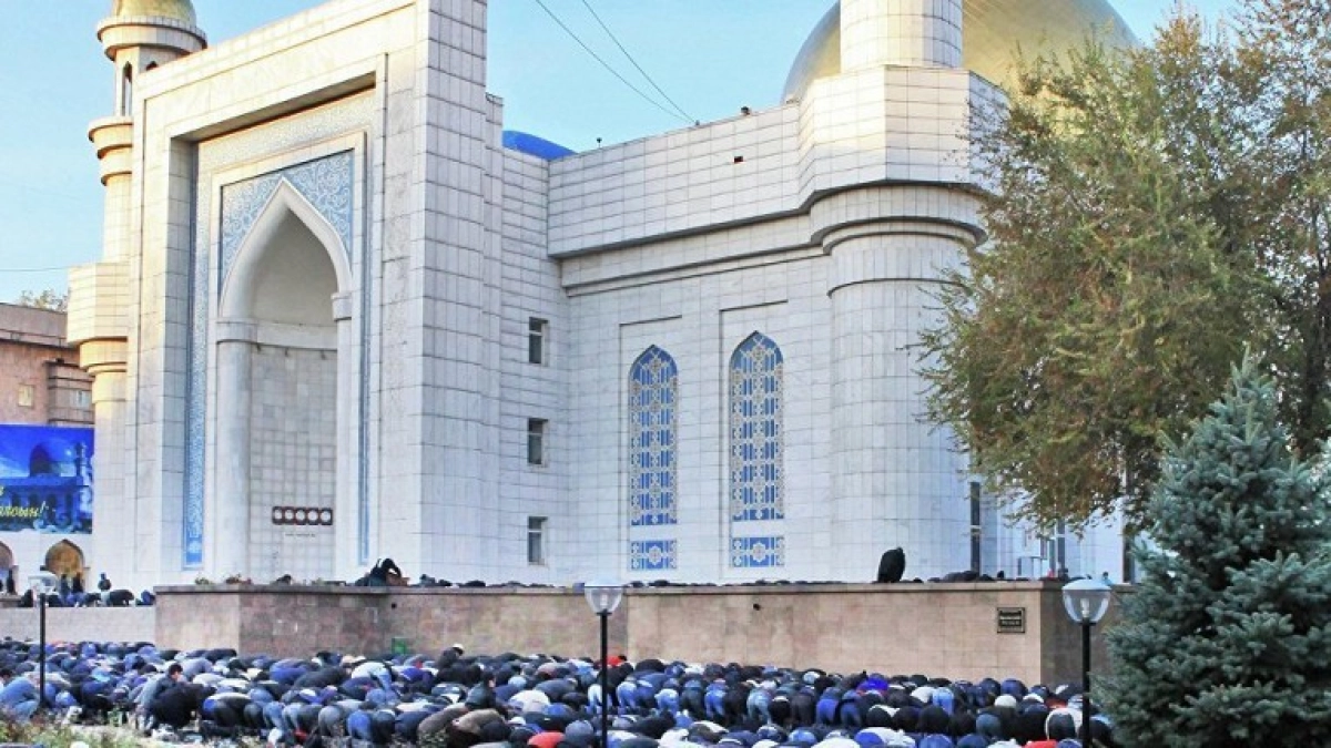 Фото из социальных сетей