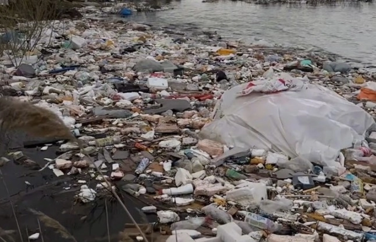 Фото: Жаңа адамдар