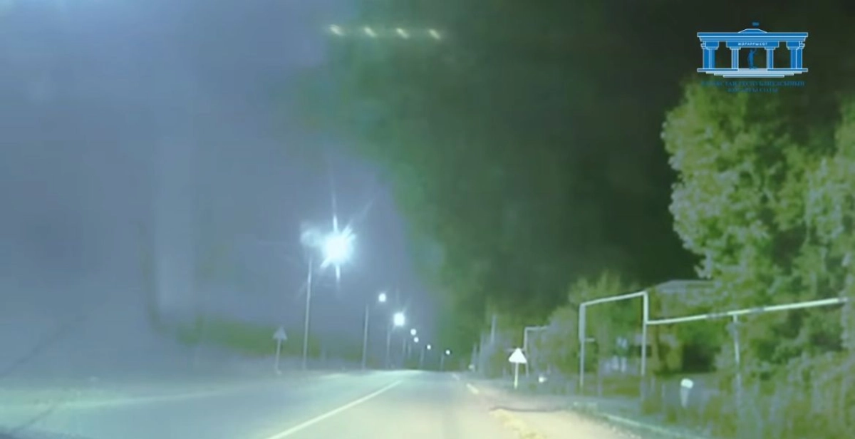 Фото: скриншот из видео