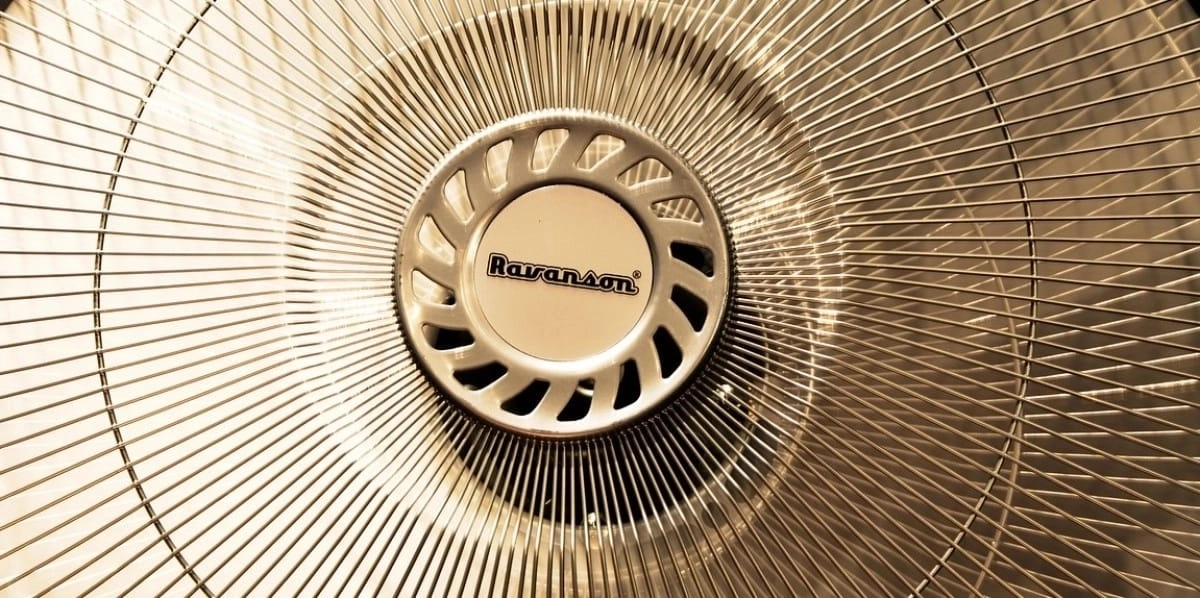 Фото: pixabay.com