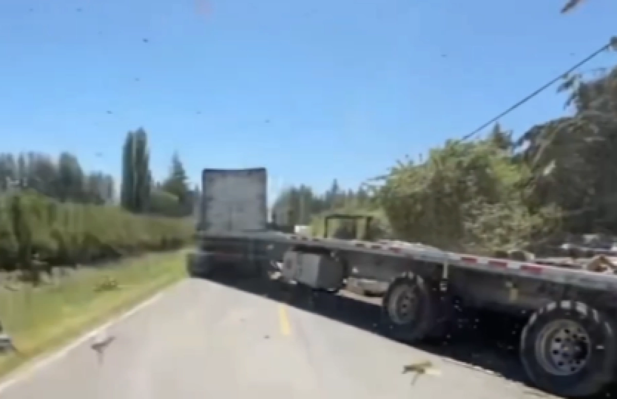 Фото: кадр из видео