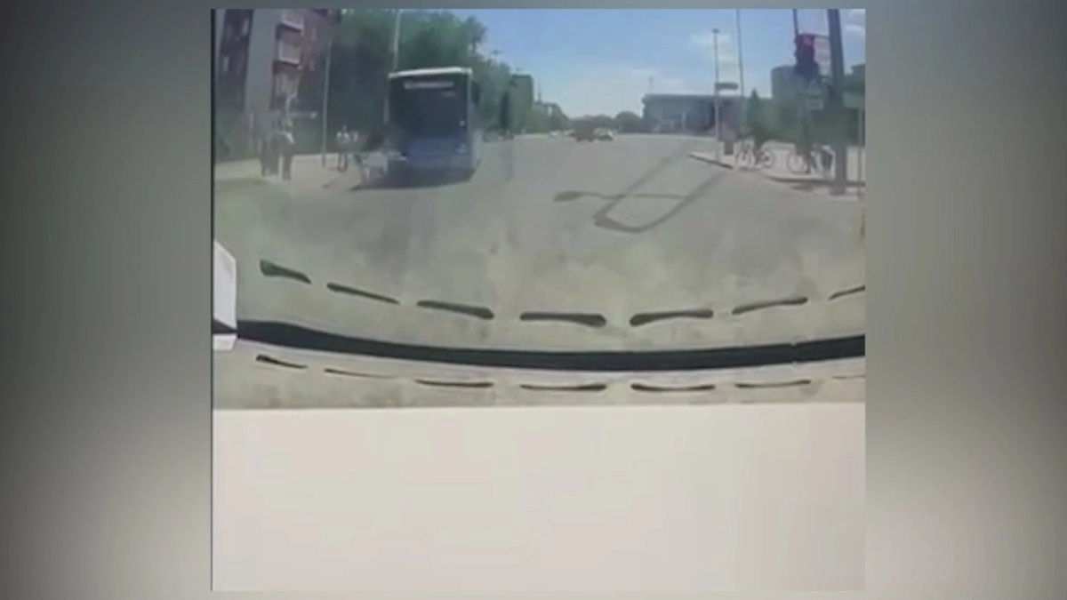 Фото: скриншот видео