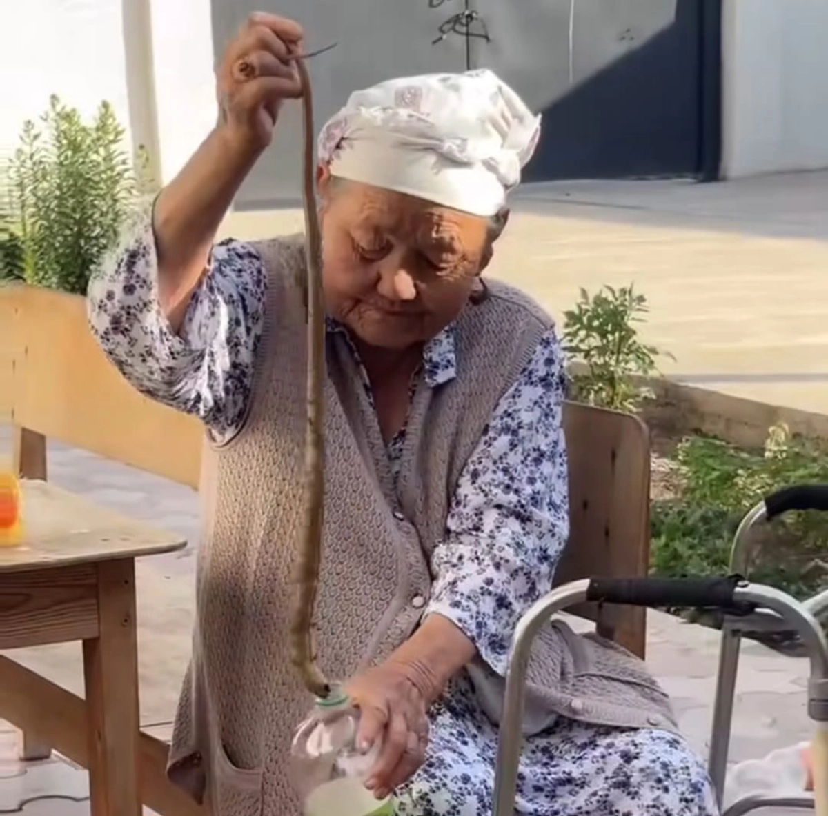 Фото: скриншот из видео