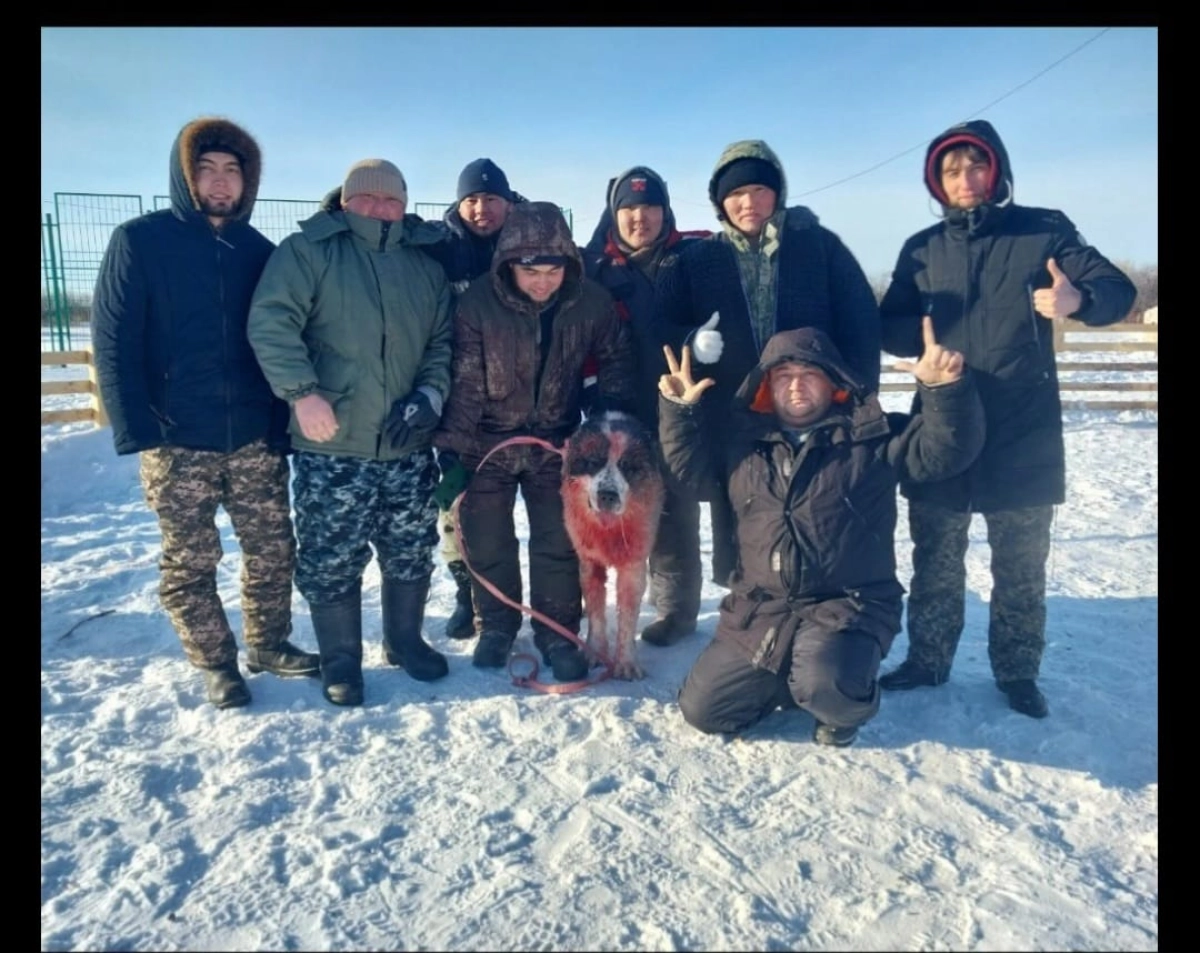Фото: социальные сети