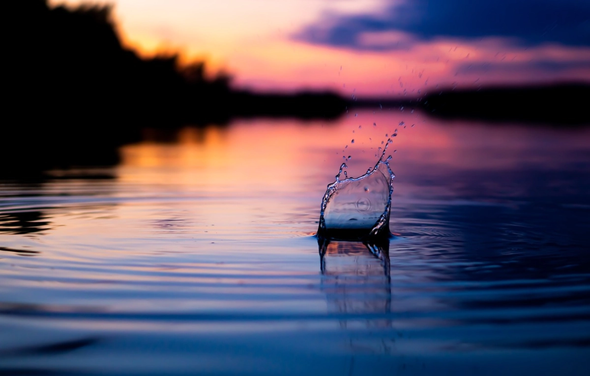 Фото: pixabay