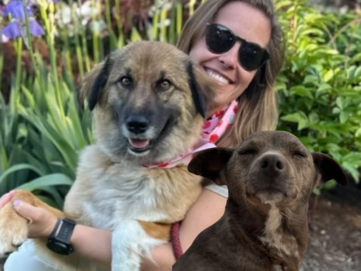 Фото с сайта vera.kz