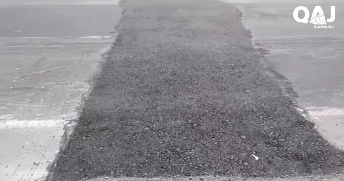 Фото: скриншот видео