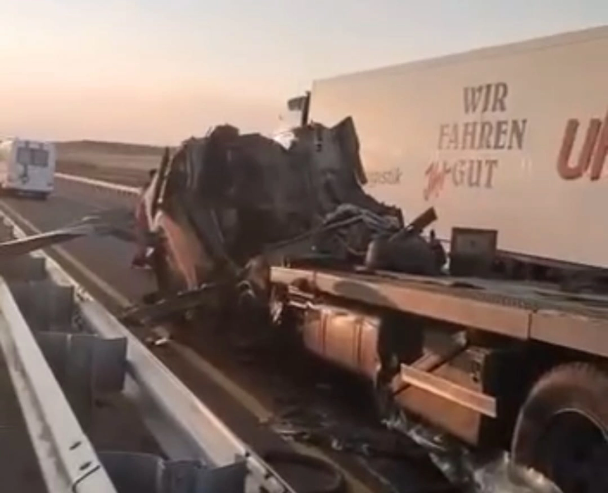 Фото: скриншот видео