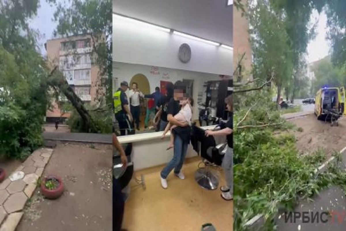 Фото: irbistv.kz