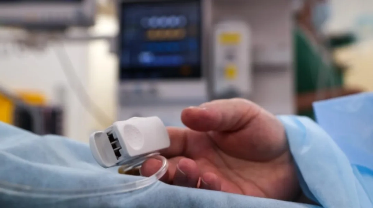 Фото: Belkin Alexey / Globallookpress