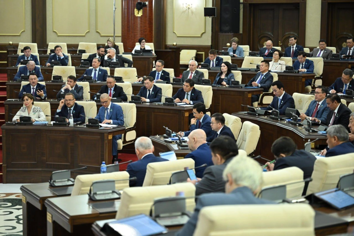 Фото: T.me/mazhilis_kz