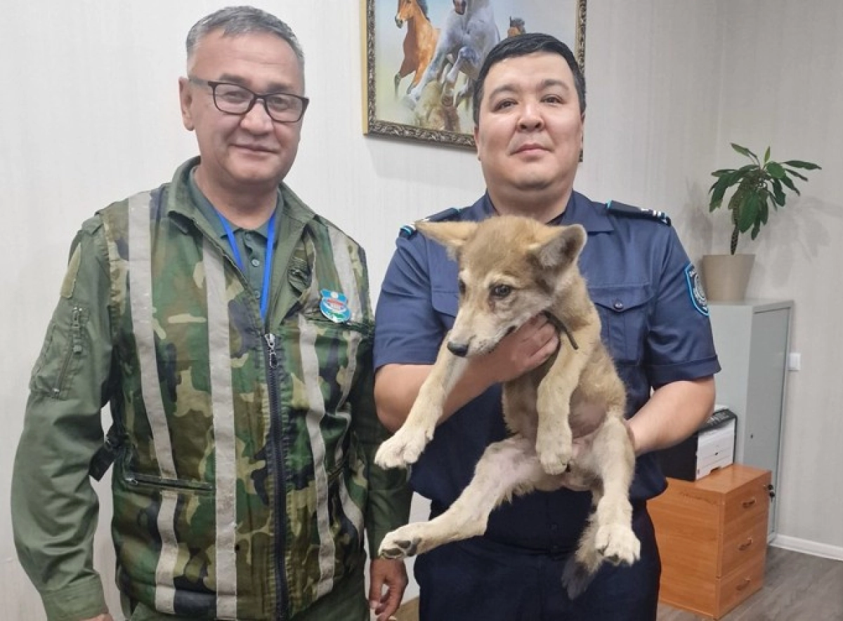 Фото: пресс-служба ДП Астаны