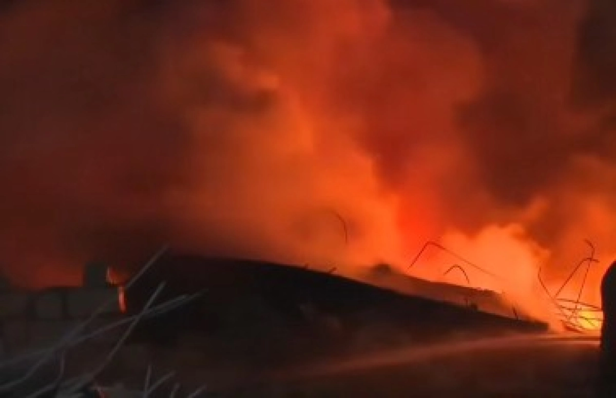 Фото: скриншот видео