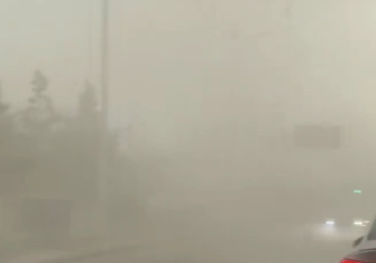 Фото: скриншот видео