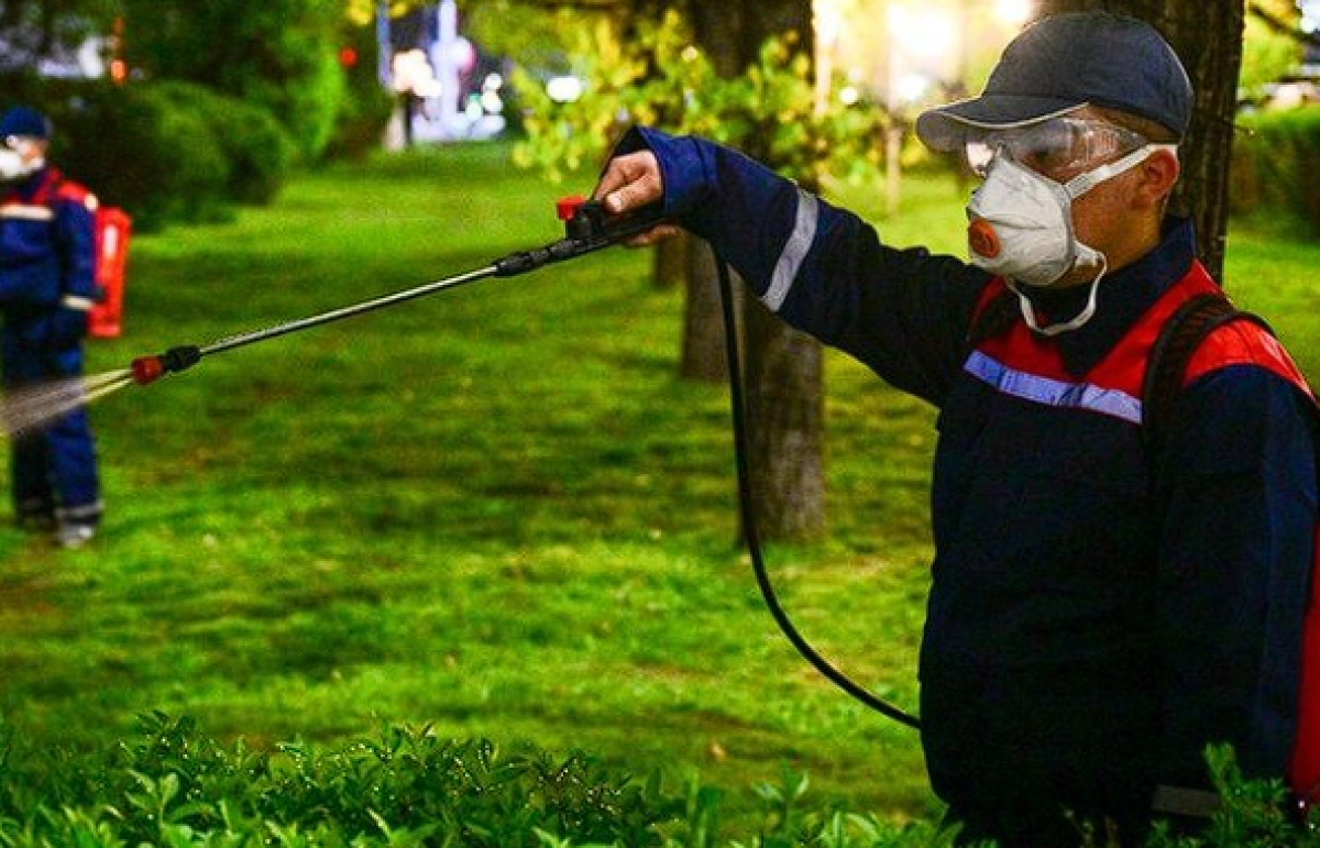 Фото: акимат Алматы