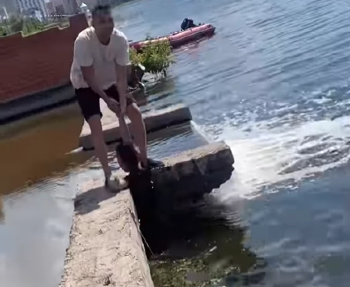 Кадр из видео