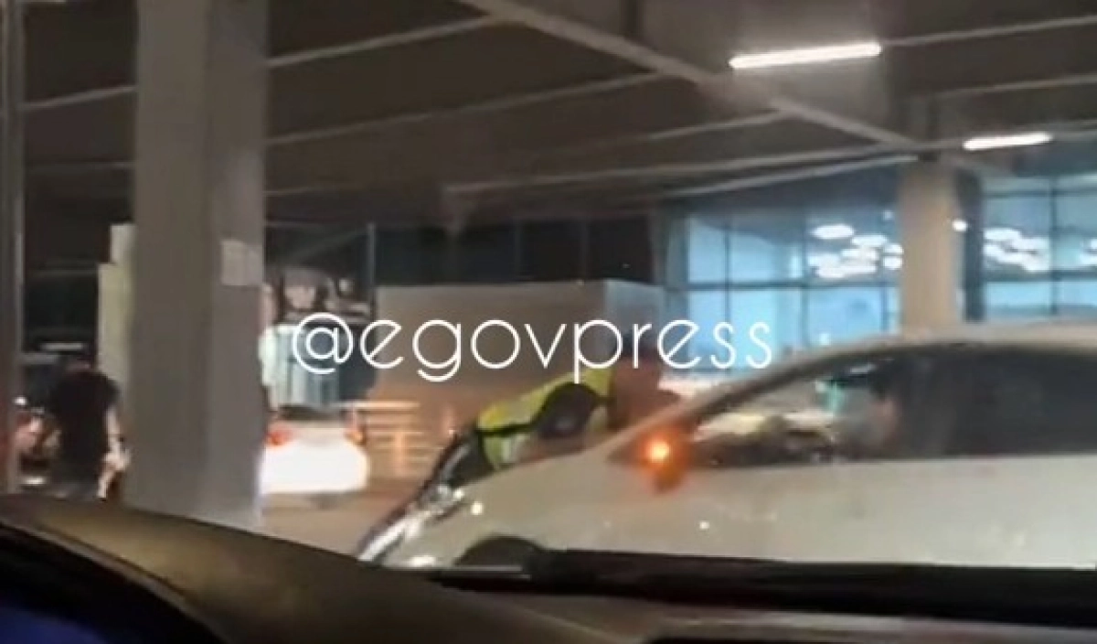 Фото: скриншот  видео