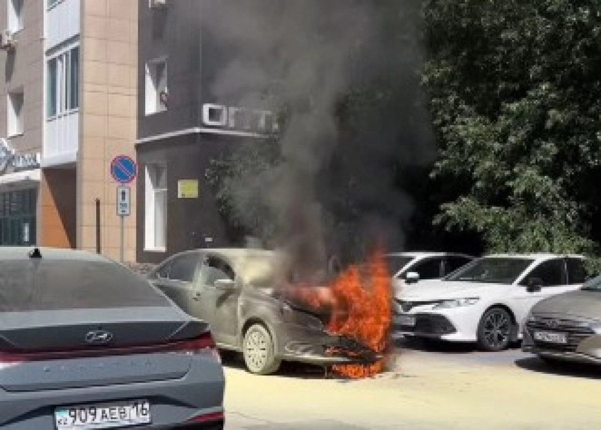 Фото: скриншот видео