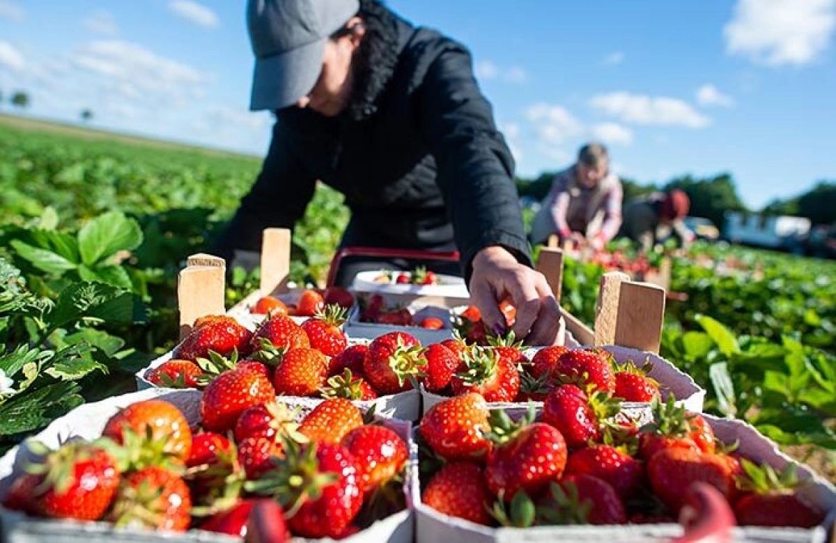 Фото: Klaus-Dietmar Gabbert/DPA/ТАСС