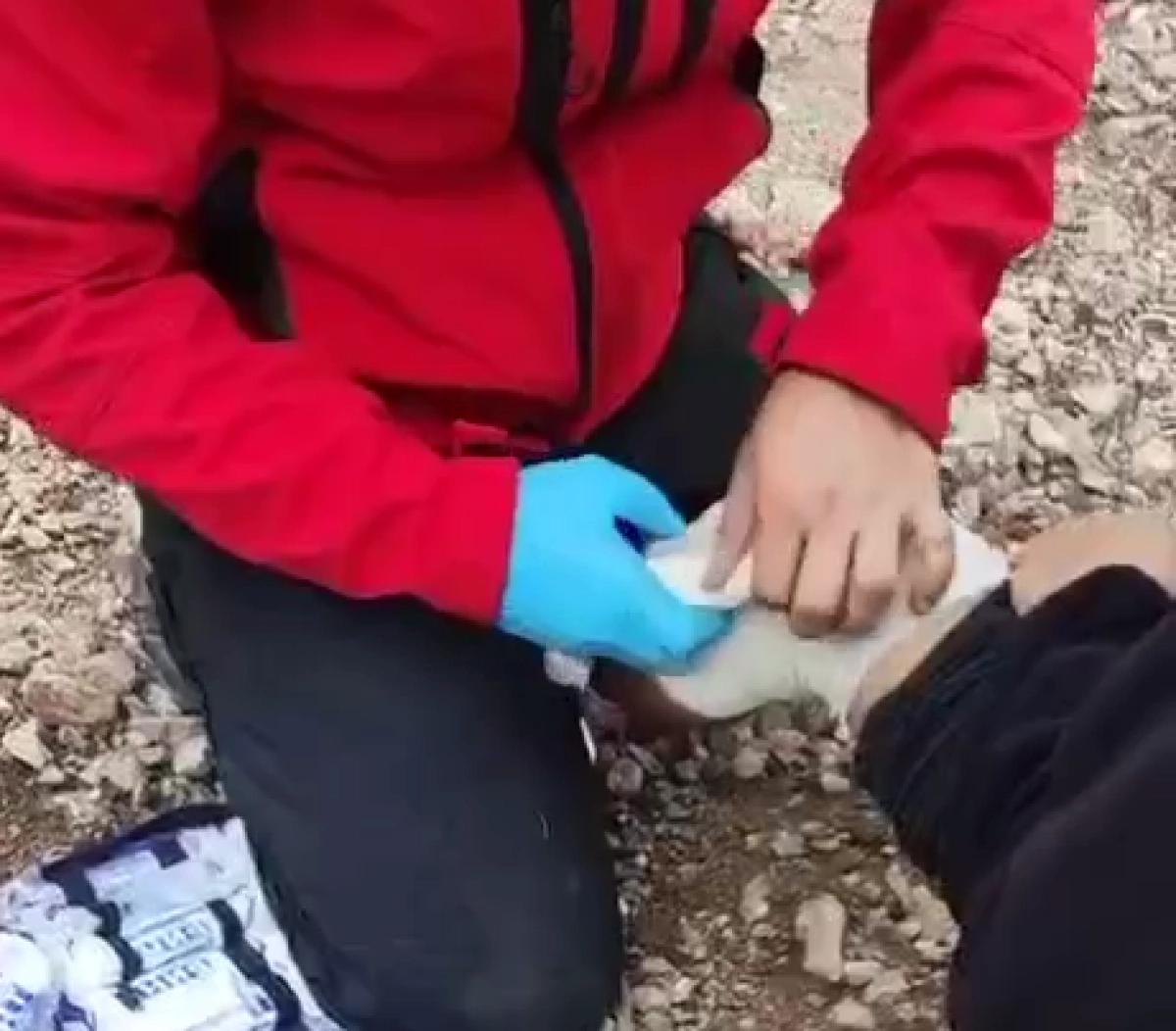 Фото: МЧС РК