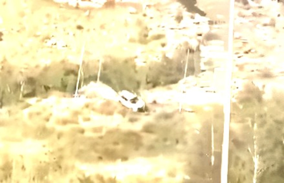 Фото: скриншот видео