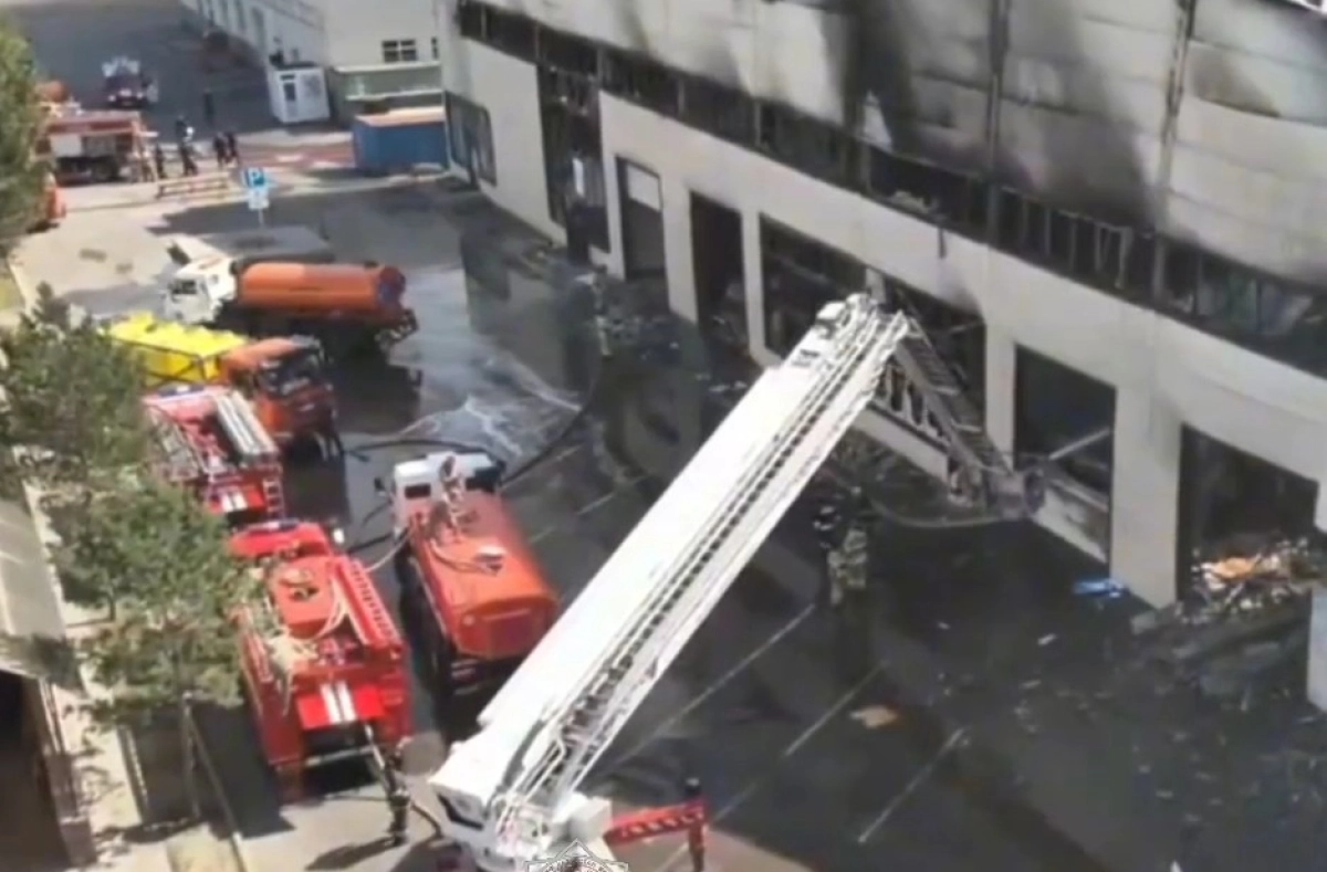 Фото: скриншот видео