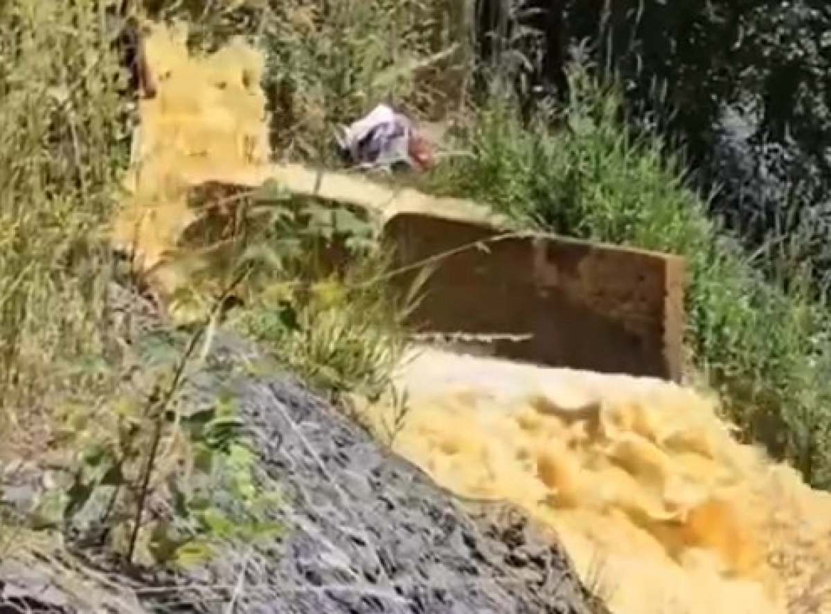 Фото: скриншот видео