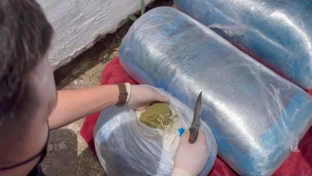 Фото: МВД РК