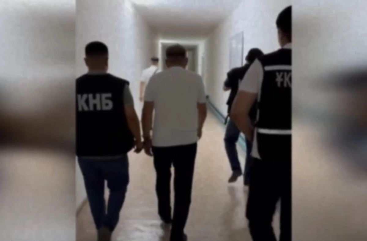 Фото: скриншот видео