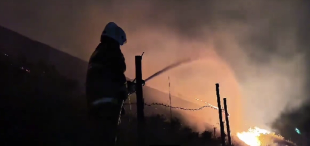 Фото: кадр из видео