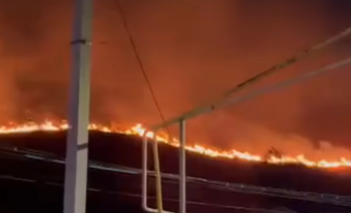 Фото: кадр из видео