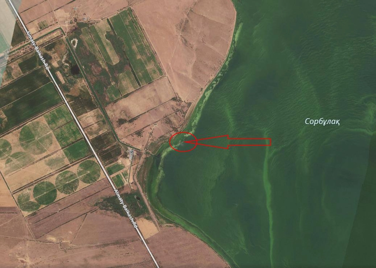 Фото: МЧС РК