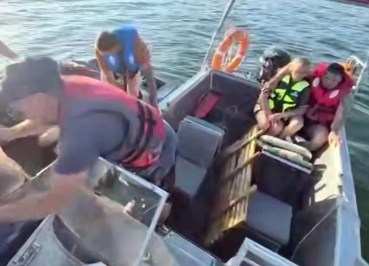 Кадр из видео