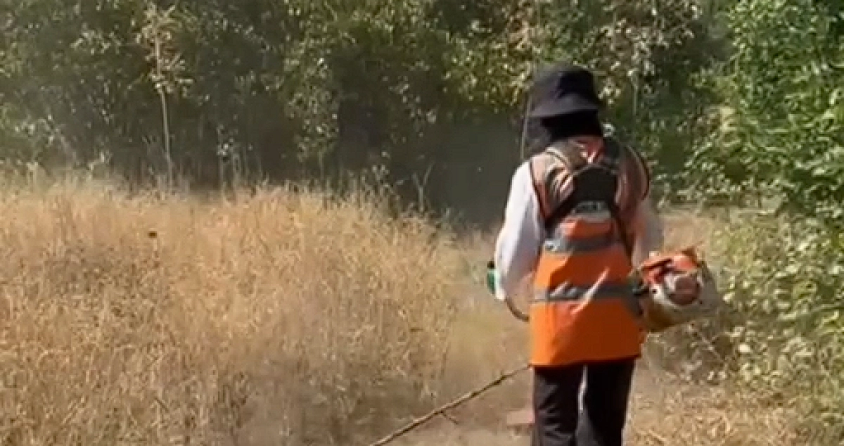 Фото: ДЧС Алматы