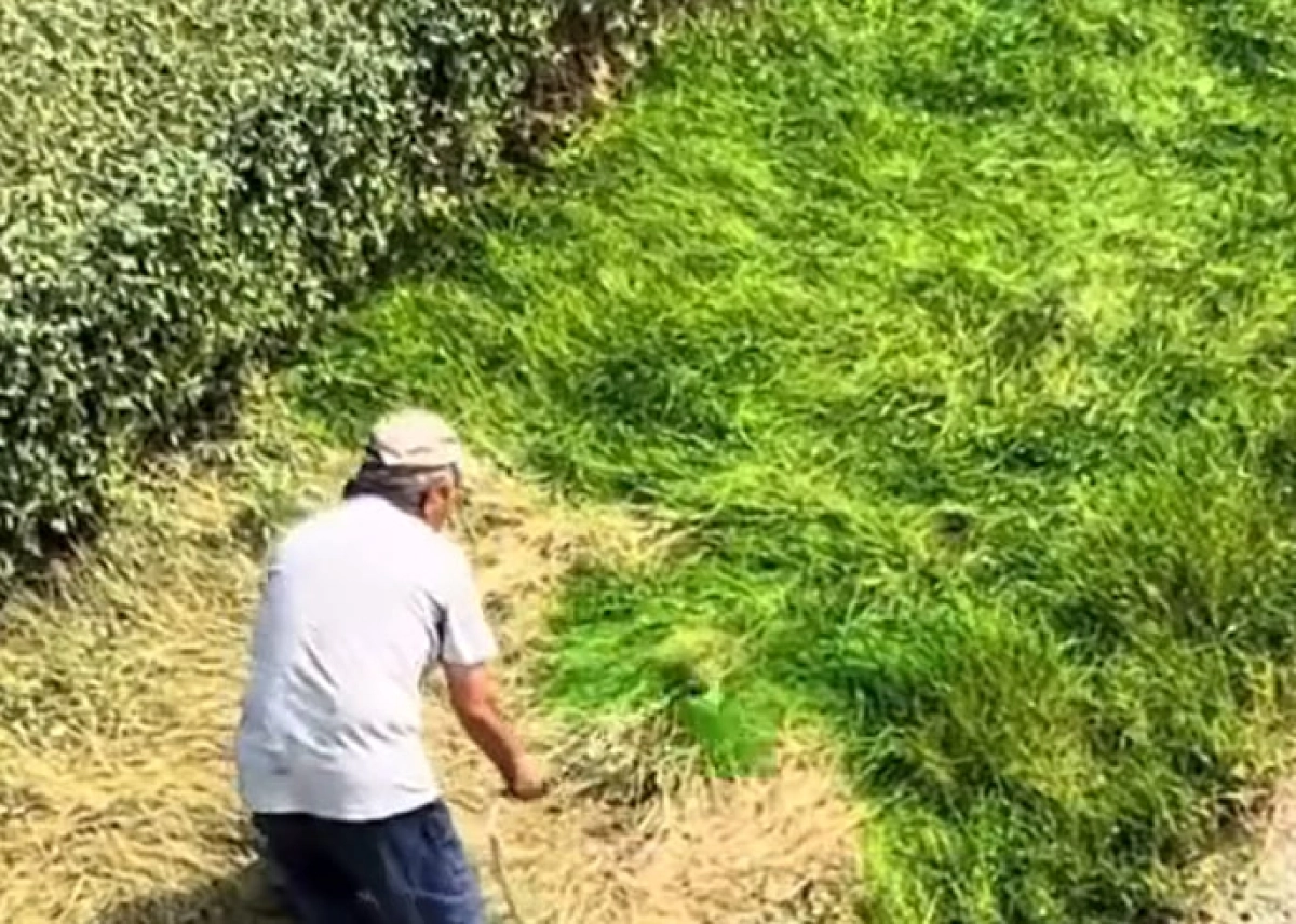 Фото: Кадр из видео