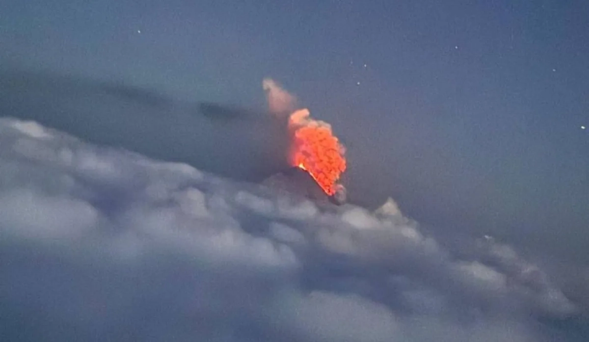 Фото из открытых источников