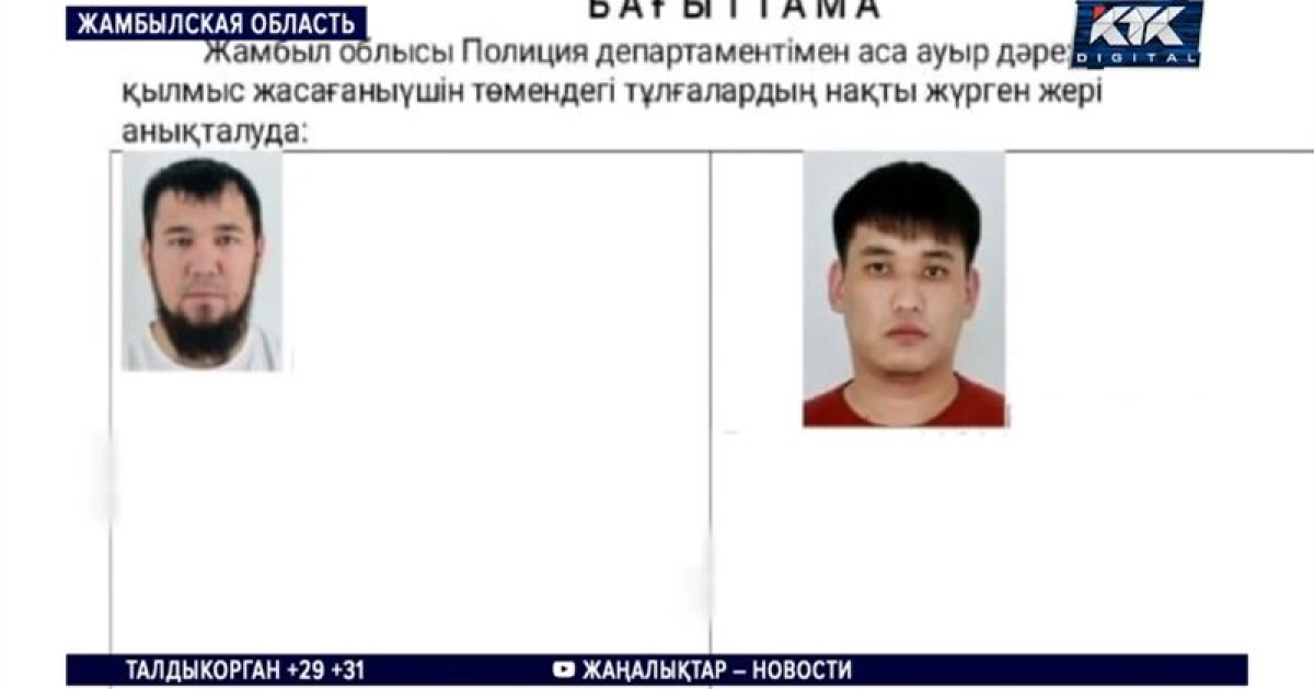 Фото: скриншот с записи эфира телеканала КТК