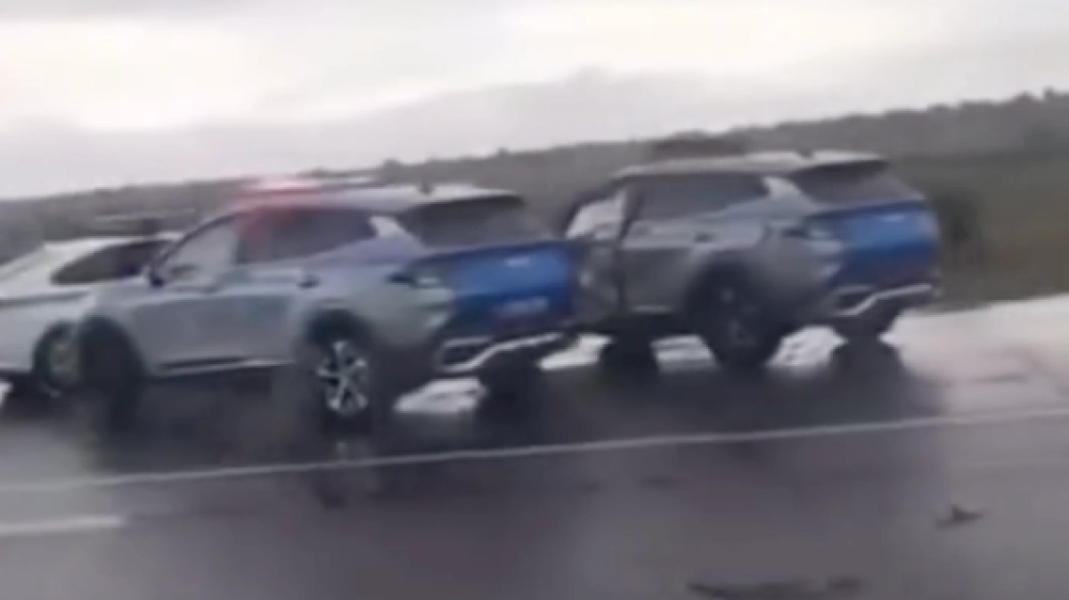 Фото: скриншот видео