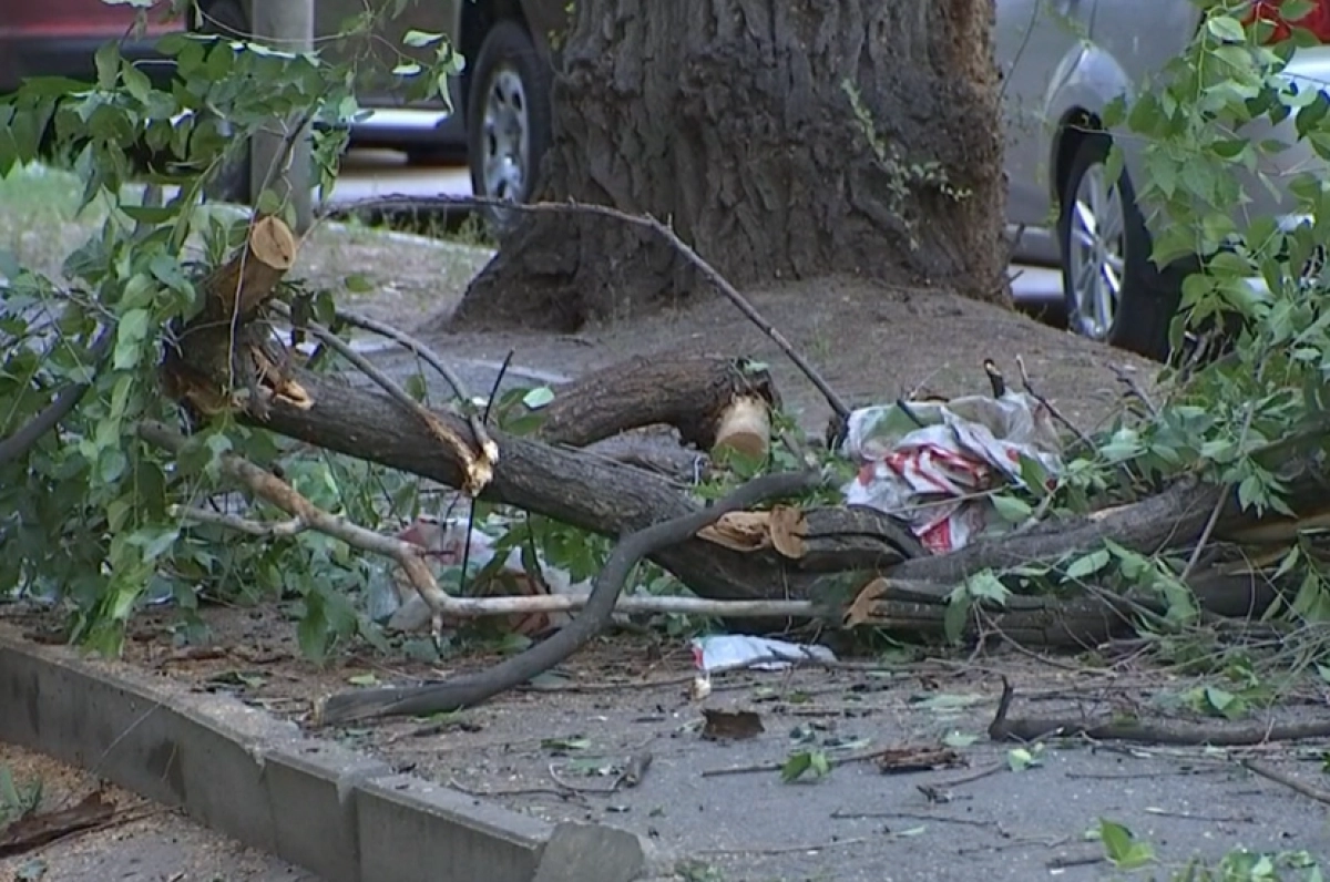 Кадр из видео/ КТК