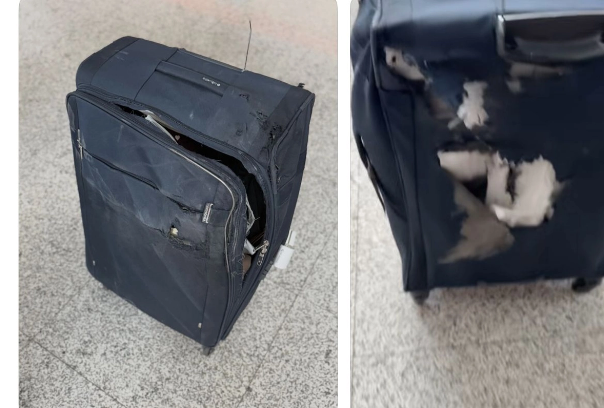 Фото: скриншот из видео