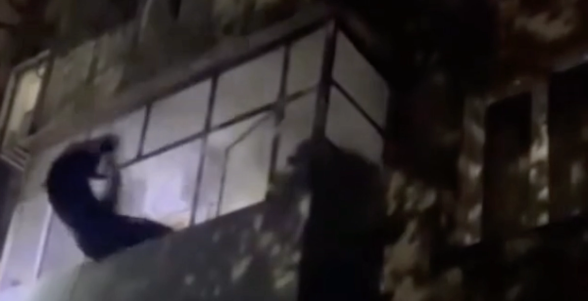 Фото: скриншот видео