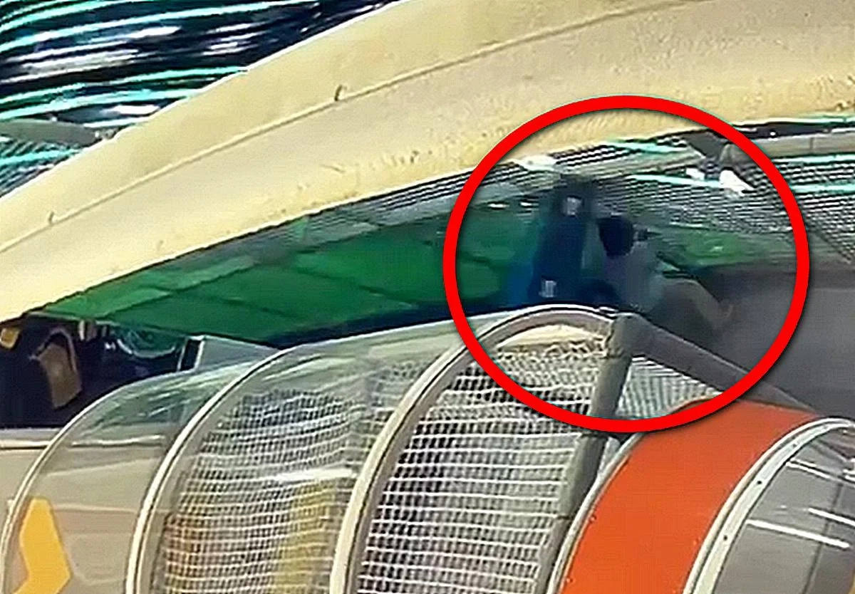 Фото: Кадр из видео