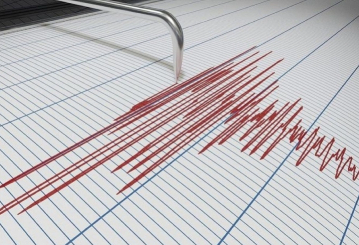 Фото: АЗЕРТАДЖ