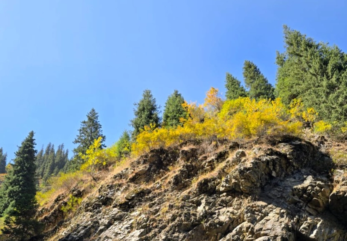 Фото: ИА «NewTimes.kz»