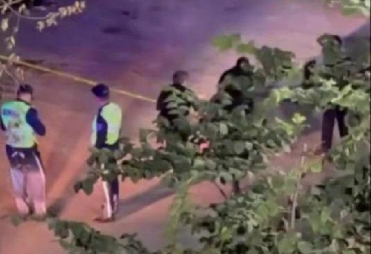 Фото: скриншот из видео