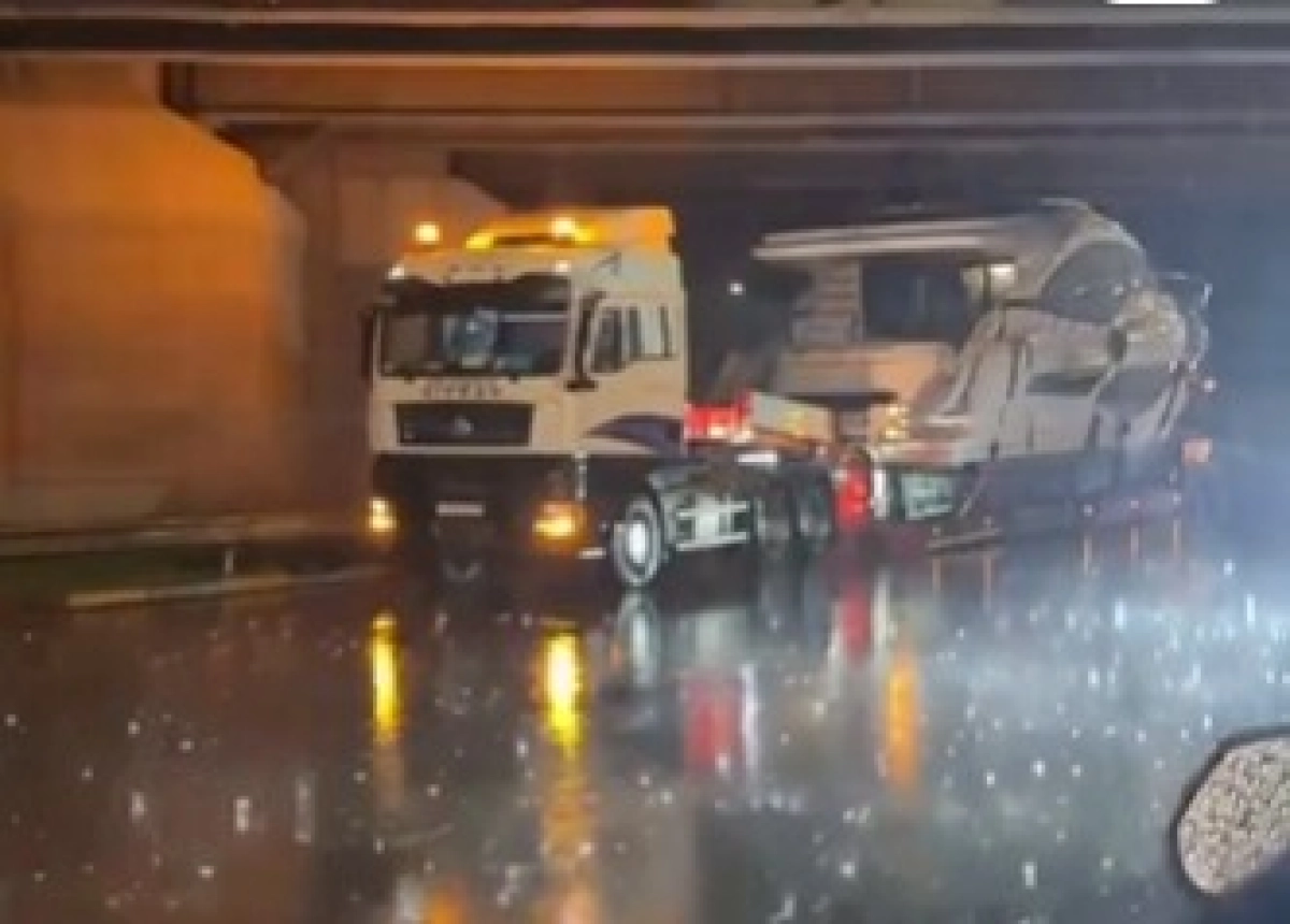 Фото: скриншот видео